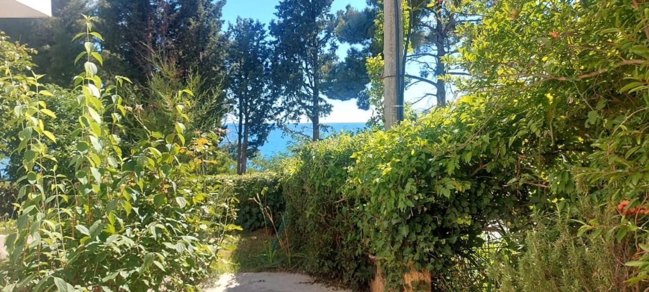 Apartmani Sunce Bar Rom bilde